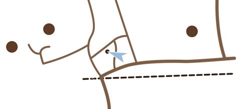 Anfahrt